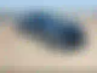 Vehicle Image- 2018 Ford Mustang