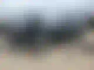 Vehicle Image- 2019 Ford Mustang