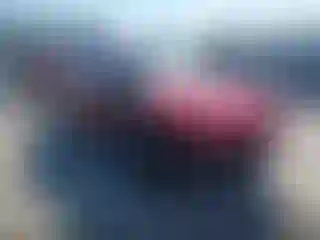 Vehicle Image- 2019 Ford Mustang