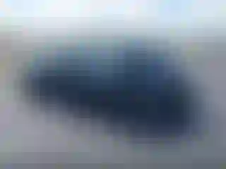 Vehicle Image- 2019 Ford Mustang