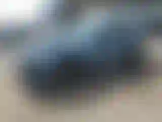 Vehicle Image- 2024 Ford Mustang