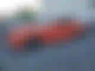 Vehicle Image- 2015 Ford Mustang