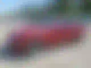 Vehicle Image- 2016 Ford Mustang