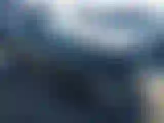 Vehicle Image- 2016 Ford Mustang