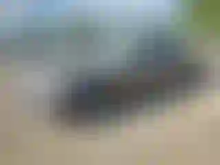 Vehicle Image- 2017 Ford Mustang