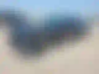 Vehicle Image- 2022 Ford Mustang