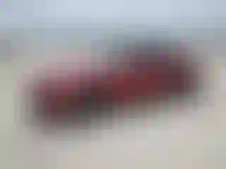 Vehicle Image- 2015 Ford Mustang