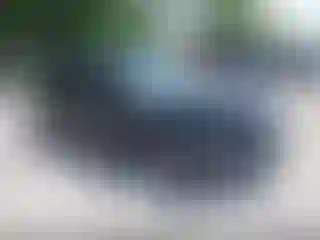 Vehicle Image- 2014 Ford Focus