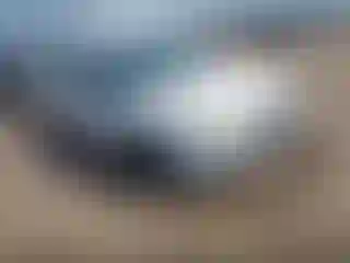 Vehicle Image- 2014 Ford Focus