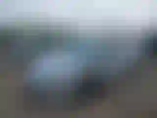 Vehicle Image- 2015 Ford Focus
