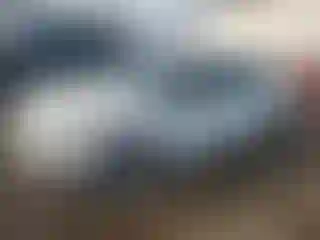 Vehicle Image- 2015 Ford Focus