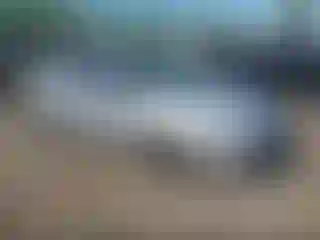Vehicle Image- 2013 Ford Focus