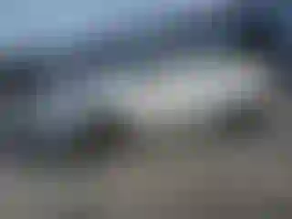 Vehicle Image- 2014 Ford Focus