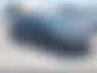 Vehicle Image- 2015 Ford Focus