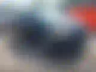 Vehicle Image- 2017 Ford Focus