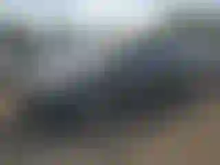 Vehicle Image- 2015 Ford Focus