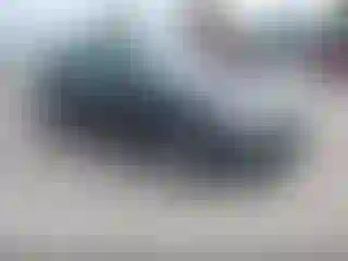 Vehicle Image- 2016 Ford Focus