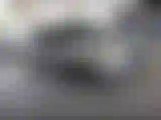 Vehicle Image- 2016 Ford Focus