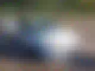 Vehicle Image- 2013 Ford Focus