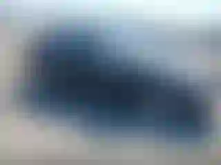 Vehicle Image- 2016 Ford Focus