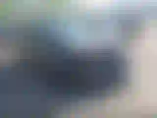 Vehicle Image- 2014 Ford Focus