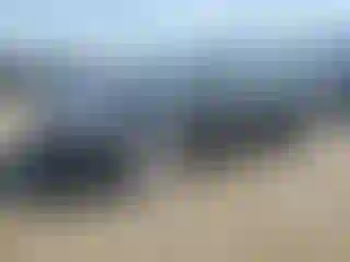 Vehicle Image- 2013 Ford Focus