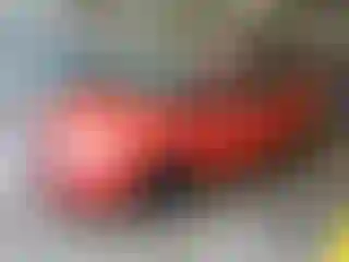 Vehicle Image- 2013 Ford Focus