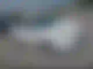 Vehicle Image- 2013 Ford Focus