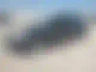 Vehicle Image- 2014 Ford Focus