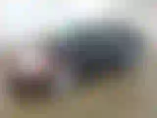 Vehicle Image- 2014 Ford Focus