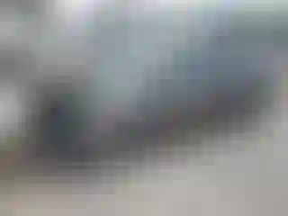 Vehicle Image- 2014 Ford Focus