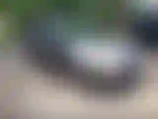 Vehicle Image- 2014 Ford Focus