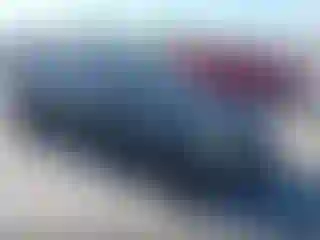 Vehicle Image- 2014 Ford Focus