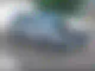 Vehicle Image- 2014 Ford Focus