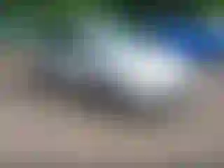 Vehicle Image- 2014 Ford Focus