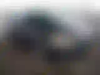 Vehicle Image- 2017 Ford Focus