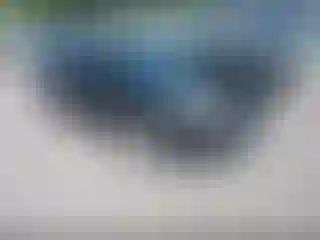 Vehicle Image- 2013 Ford Focus