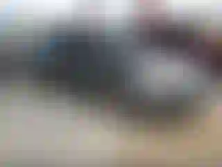 Vehicle Image- 2013 Ford Focus