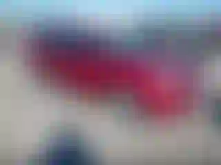 Vehicle Image- 2013 Ford Focus