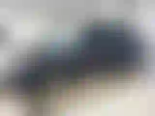 Vehicle Image- 2013 Ford Focus