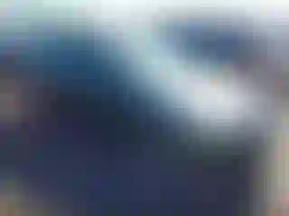 Vehicle Image- 2014 Ford Focus