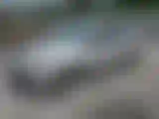 Vehicle Image- 2014 Ford Focus