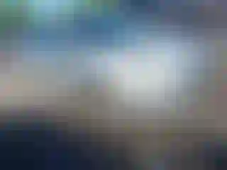 Vehicle Image- 2014 Ford Focus