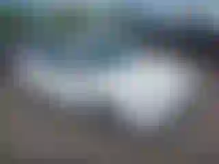 Vehicle Image- 2014 Ford Focus
