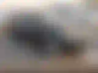 Vehicle Image- 2015 Ford Focus