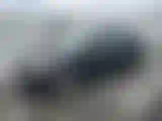 Vehicle Image- 2016 Ford Focus