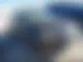 Vehicle Image- 2016 Ford Focus