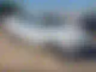 Vehicle Image- 2016 Ford Focus