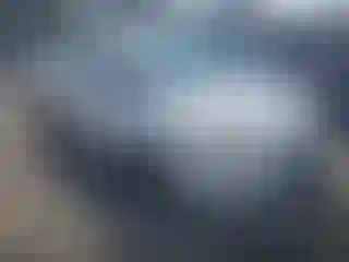 Vehicle Image- 2014 Ford Focus