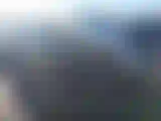 Vehicle Image- 2014 Ford Focus